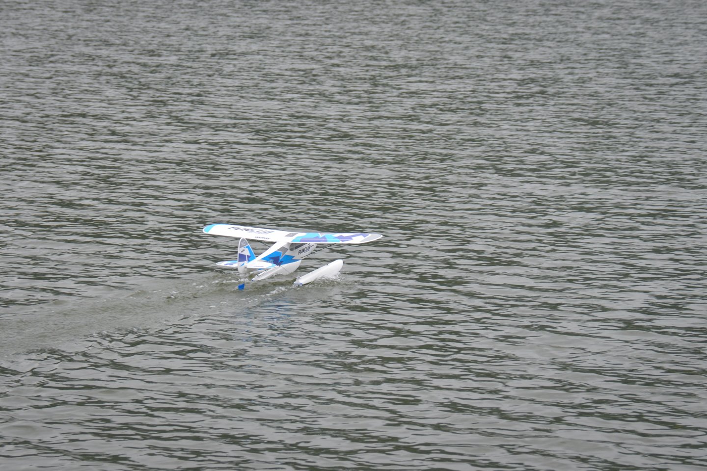 Wasserfliegen Bichelsee 2021