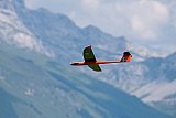 Fideriser Heuberge 2015