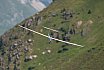 Fideriser Heuberge 2015
