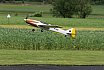 F3A Regionalmeisterschaft 2016