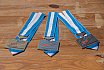 F3A Regionalmeisterschaft 2016