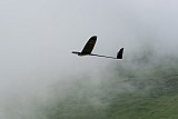 Fideriser Heuberge 2016