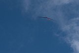 Fideriser Heuberge 2016