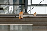 Hallenfliegen Buchholz 2018