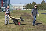 Rasensanierung 2019