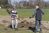 Rasensanierung 2019