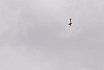 F3A Regional und Interregional Wettbewerb 2014