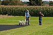 Freundschaftsfliegen MFG B&uuml;lach 2014