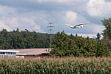 Freundschaftsfliegen MFG B&uuml;lach 2014