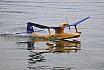 Wasserfliegen Sempachersee 2022
