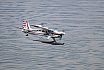 Wasserfliegen Sempachersee 2022