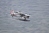 Wasserfliegen Sempachersee 2022