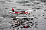 Wasserfliegen Sempachersee 2022