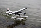 Wasserfliegen Sempachersee 2022