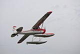 Wasserfliegen Sempachersee 2022