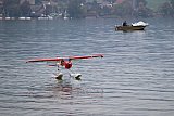 Wasserfliegen Sempachersee 2022