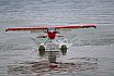 Wasserfliegen Sempachersee 2022