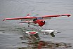 Wasserfliegen Sempachersee 2022