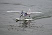 Wasserfliegen Sempachersee 2022