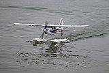 Wasserfliegen Sempachersee 2022