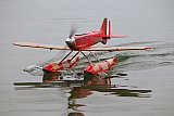 Wasserfliegen Sempachersee 2022