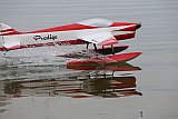 Wasserfliegen Sempachersee 2022