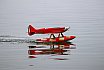 Wasserfliegen Sempachersee 2022