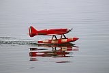 Wasserfliegen Sempachersee 2022