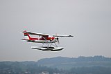 Wasserfliegen Sempachersee 2022