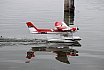 Wasserfliegen Sempachersee 2022