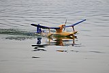 Wasserfliegen Sempachersee 2022