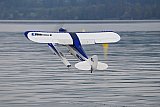 Wasserfliegen Sempachersee 2022