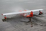 Wasserfliegen Sempachersee 2022