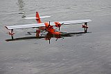 Wasserfliegen Sempachersee 2022