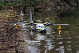 Wasserfliegen Sempachersee 2022