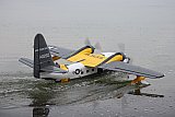 Wasserfliegen Sempachersee 2022