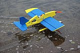 Wasserfliegen Sempachersee 2022