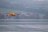 Wasserfliegen Sempachersee 2022