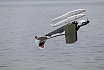 Wasserfliegen Sempachersee 2022