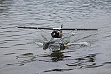 Wasserfliegen Sempachersee 2022