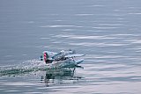 Wasserfliegen Beckenried 2023 