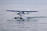 Wasserfliegen Beckenried 2023 