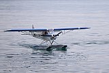 Wasserfliegen Beckenried 2023 