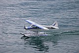 Wasserfliegen Beckenried 2023 