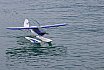 Wasserfliegen Beckenried 2023 
