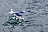 Wasserfliegen Beckenried 2023 