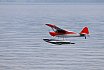 Wasserfliegen Beckenried 2023 