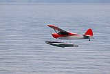 Wasserfliegen Beckenried 2023 