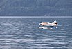 Wasserfliegen Beckenried 2023 