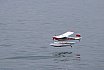 Wasserfliegen Beckenried 2023 
